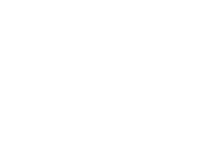 I.P.P FRance